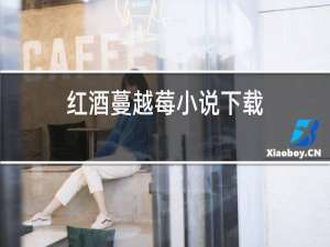 红酒蔓越莓小说下载
