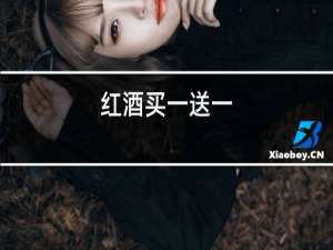 红酒买一送一