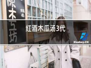 红酒木瓜汤3代