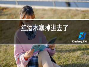 红酒木塞掉进去了
