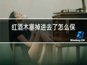 红酒木塞掉进去了怎么办