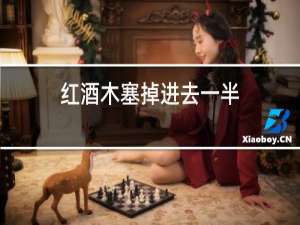 红酒木塞掉进去一半