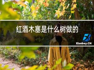 红酒木塞是什么树做的