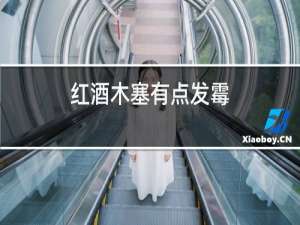 红酒木塞有点发霉