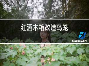 红酒木箱改造鸟笼