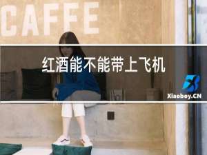红酒能不能带上飞机