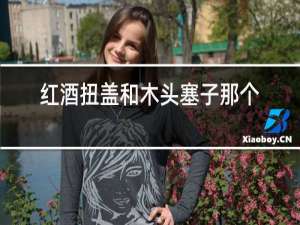 红酒扭盖和木头塞子那个好