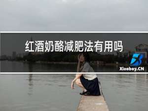 红酒奶酪减肥法有用吗