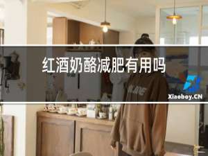 红酒奶酪减肥有用吗