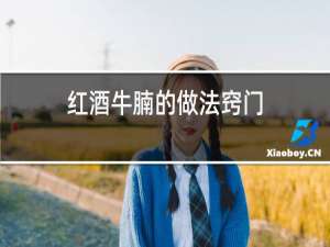 红酒牛腩的做法窍门