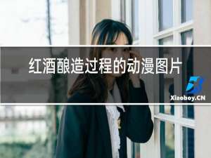 红酒酿造过程的动漫图片