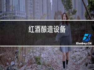 红酒酿造设备