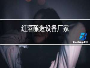 红酒酿造设备厂家
