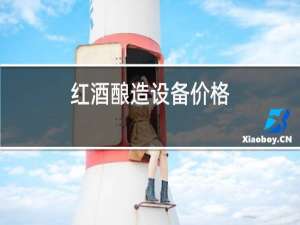 红酒酿造设备价格