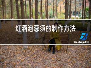 红酒泡葱须的制作方法