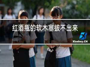 红酒瓶的软木塞拔不出来怎么办?