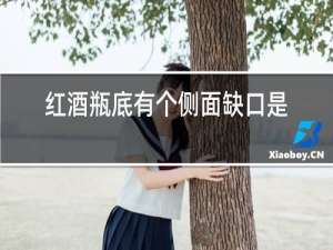 红酒瓶底有个侧面缺口是什么意思