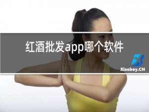 红酒批发app哪个软件好