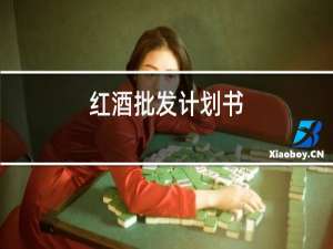红酒批发计划书