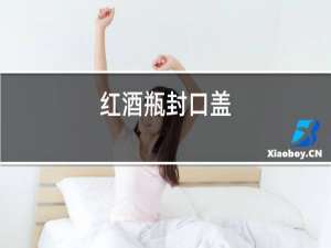 红酒瓶封口盖