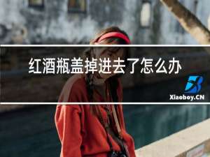 红酒瓶盖掉进去了怎么办
