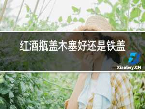 红酒瓶盖木塞好还是铁盖好