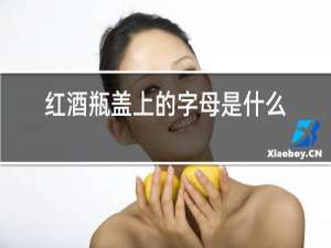 红酒瓶盖上的字母是什么意思