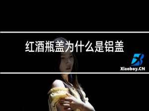 红酒瓶盖为什么是铝盖