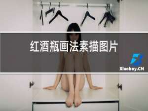 红酒瓶画法素描图片