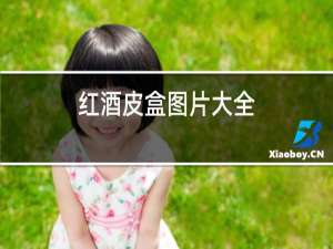红酒皮盒图片大全