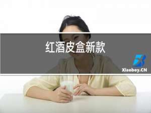红酒皮盒新款