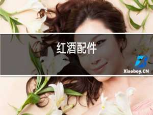 红酒配件