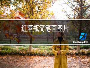 红酒瓶简笔画图片