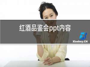 红酒品鉴会ppt内容