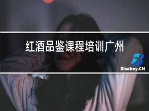 红酒品鉴课程培训广州