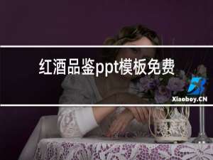红酒品鉴ppt模板免费