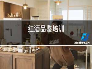 红酒品鉴培训