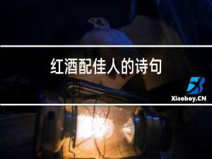 红酒配佳人的诗句