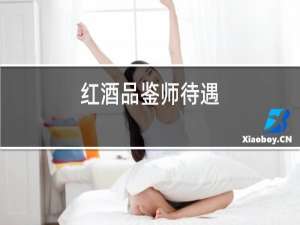 红酒品鉴师待遇