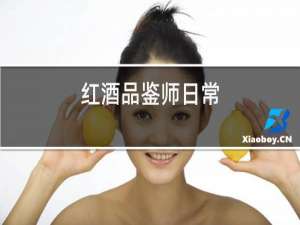 红酒品鉴师日常
