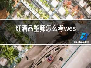 红酒品鉴师怎么考west和cafa