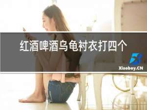 红酒啤酒乌龟衬衣打四个字