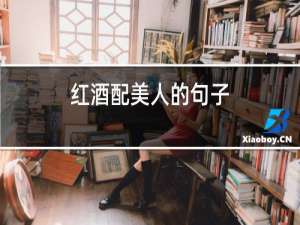 红酒配美人的句子