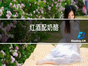 红酒配奶酪