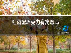 红酒配巧克力有寓意吗
