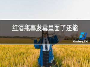 红酒瓶塞发霉里面了还能喝