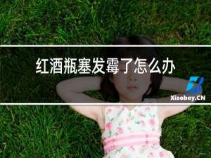 红酒瓶塞发霉了怎么办