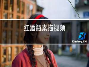红酒瓶素描视频