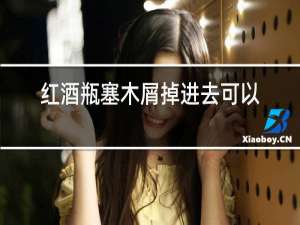 红酒瓶塞木屑掉进去可以喝吗