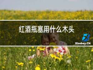 红酒瓶塞用什么木头